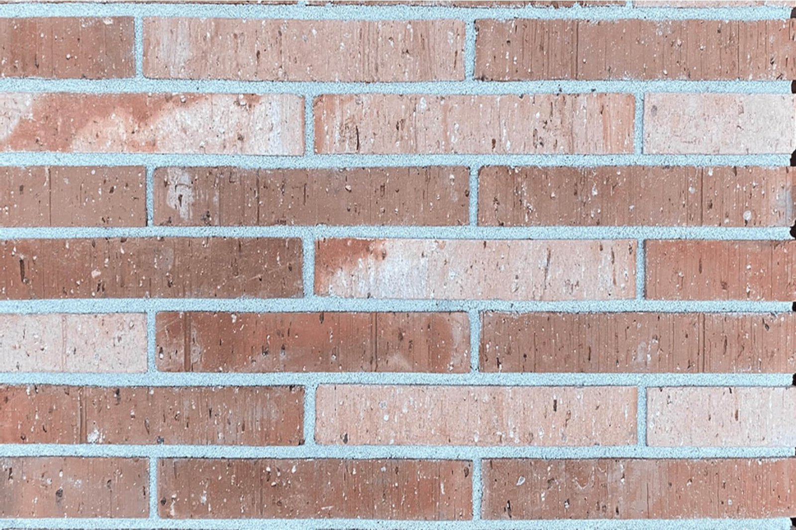 Light Shade Extruded